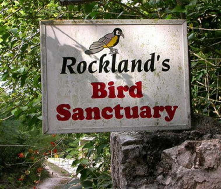 Montego Bay: Private Rocklands Bird Sanctuary Trip - Who will get the most from this trip?