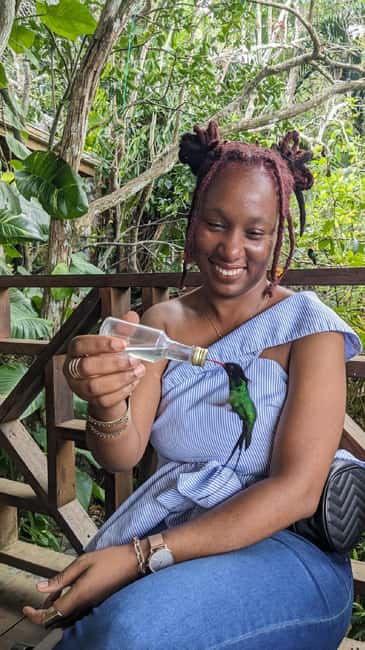 Montego Bay: Private Rocklands Bird Sanctuary Trip - Should you book Rocklands Bird Sanctuary?