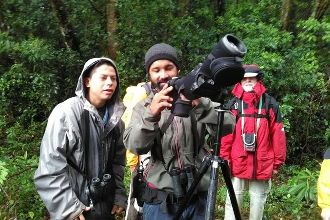 Monteverde Birdwatching Experience - What to bring and how to prepare