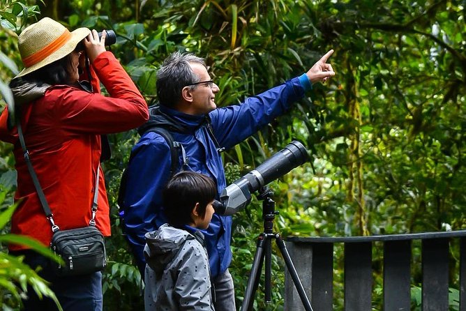 Monteverde Wildlife Walk & Hummingbird Encounter - Wildlife watching with George, Vinny, or Roy