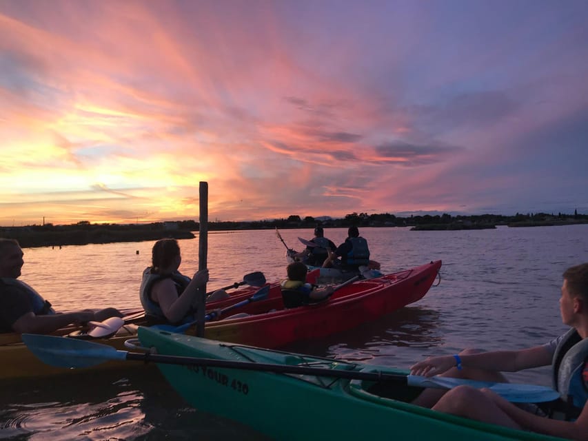 Montpellier : Birdwatching by kayak in the Camargue - Key points to know before you book
