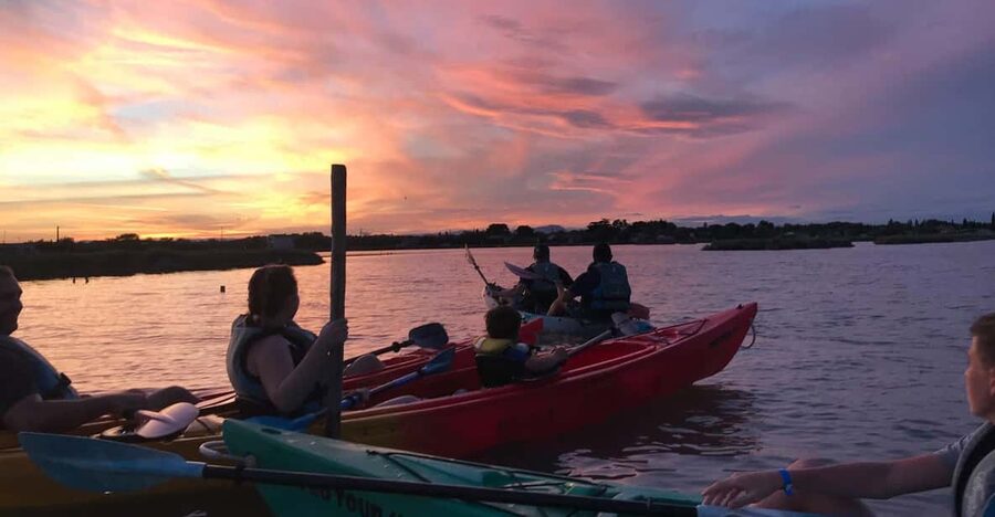 Montpellier : Birdwatching by kayak in the Camargue - Paddling into the Petite Camargue lagoon