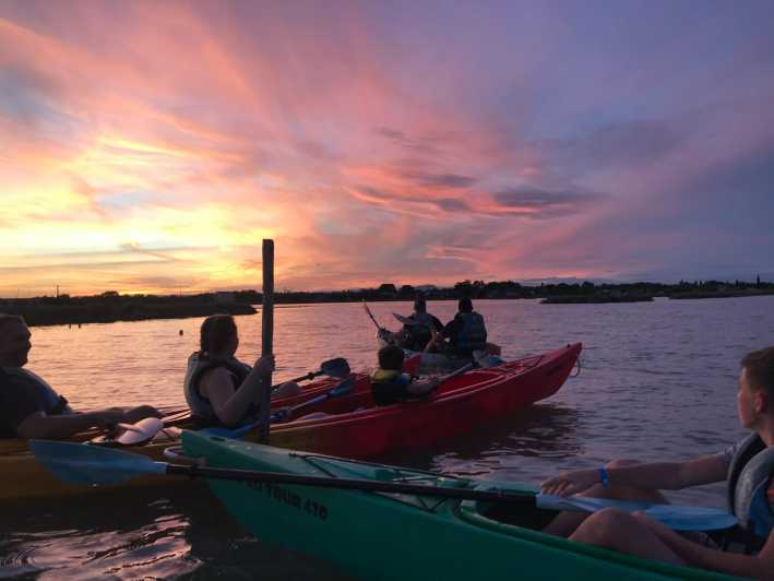Montpellier : Birdwatching by kayak in the Camargue - The two-hour rhythm, from launch to final light