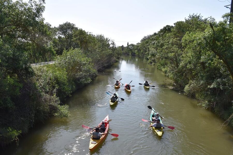 Montpellier : Birdwatching by kayak in the Camargue - Morning or sunset: choosing the right departure