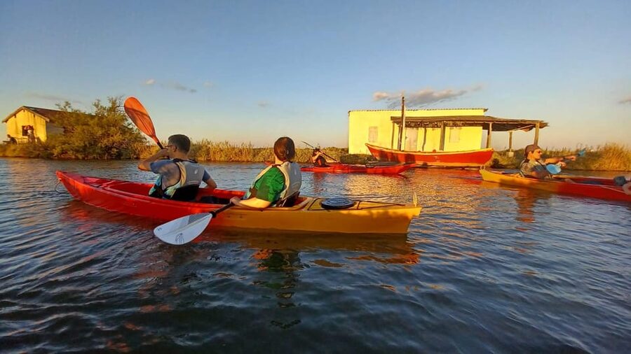 Montpellier : Birdwatching by kayak in the Camargue - How much paddling and fitness you need