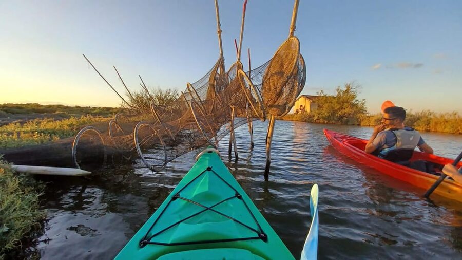 Montpellier : Birdwatching by kayak in the Camargue - What the price includes at $76