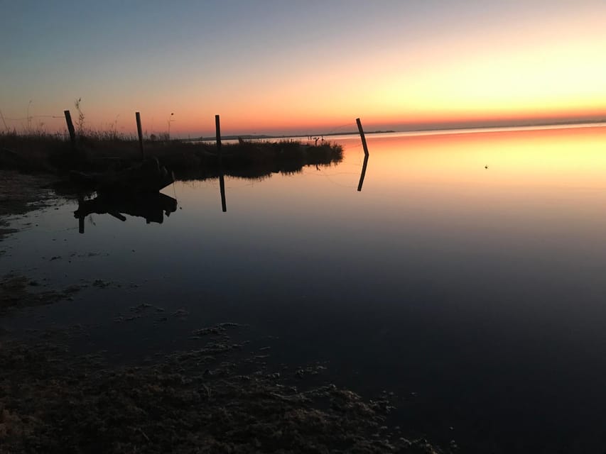 Montpellier : Birdwatching by kayak in the Camargue - Finding the base and using the facilities