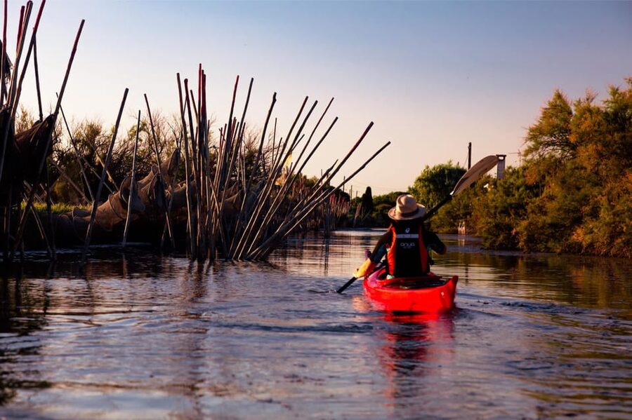 Montpellier : Birdwatching by kayak in the Camargue - Who will enjoy this kayak tour most