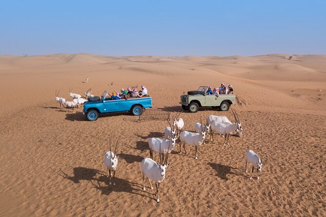 Morning Falconry & Nature Desert Safari with Transfers from Dubai - Emirati breakfast in a desert camp