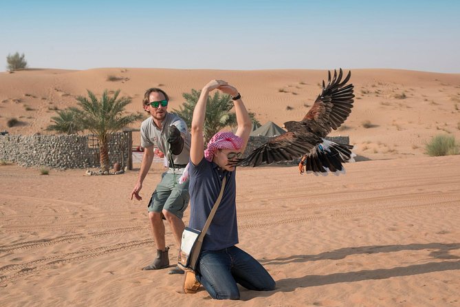 Morning Falconry & Nature Desert Safari with Transfers from Dubai - What the $166.07 price buys you