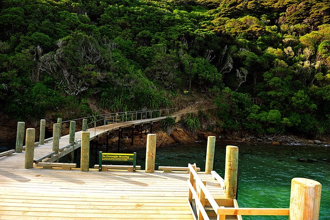 Motuara Island Bird Sanctuary and Ship Cove Cruise from Picton - The cruise from Picton through Queen Charlotte Sound