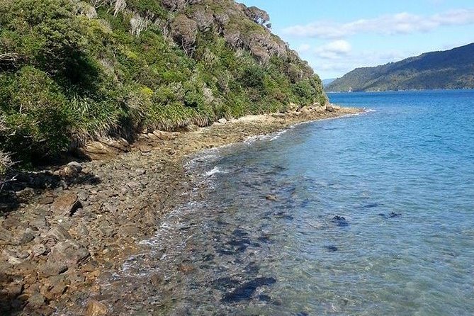 Motuara Island Bird Sanctuary and Ship Cove Cruise from Picton - How much value do you get for $68.26?