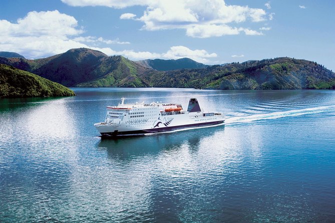 Motuara Island Bird Sanctuary and Ship Cove Cruise from Picton - Practical tips for a smoother morning