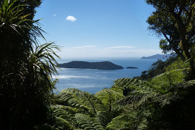 Motuara Island Bird Sanctuary and Ship Cove Cruise from Picton - Walking on Motuara Island