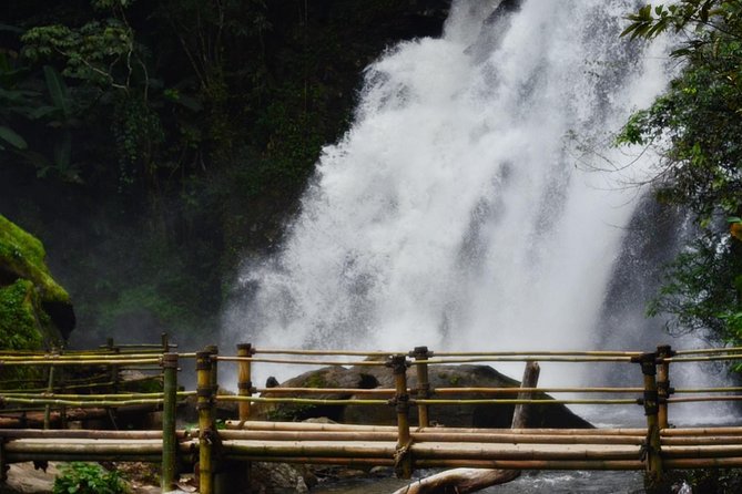 Mount Doi Inthanon Hiking & Bird Watching - The 1.5-hour trail with Karen guide Nee