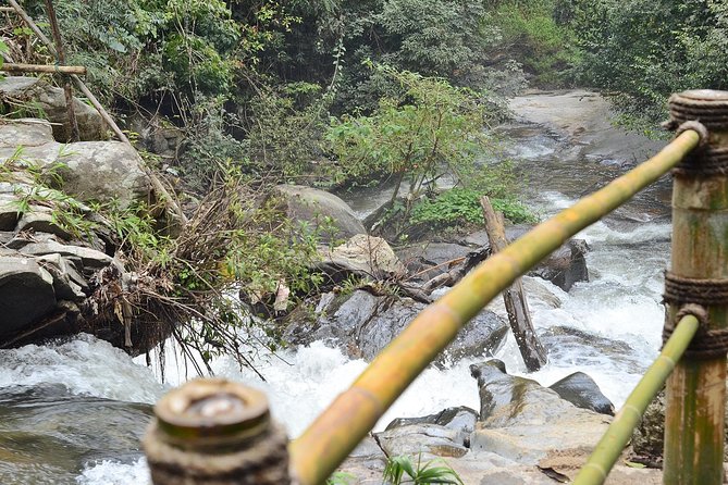 Mount Doi Inthanon Hiking & Bird Watching - What the $152.50 price really covers