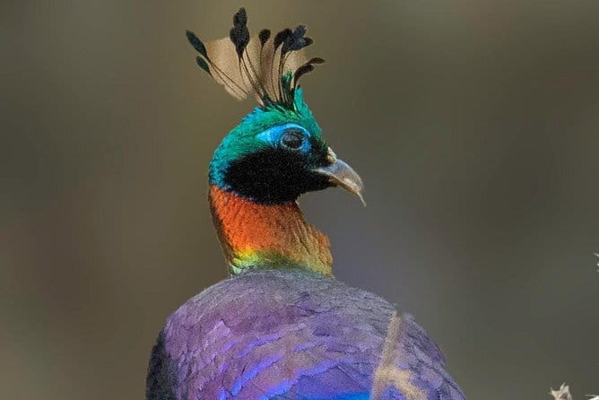 Munsiari Birding tour - The road from Kathgodam to Munsiyari