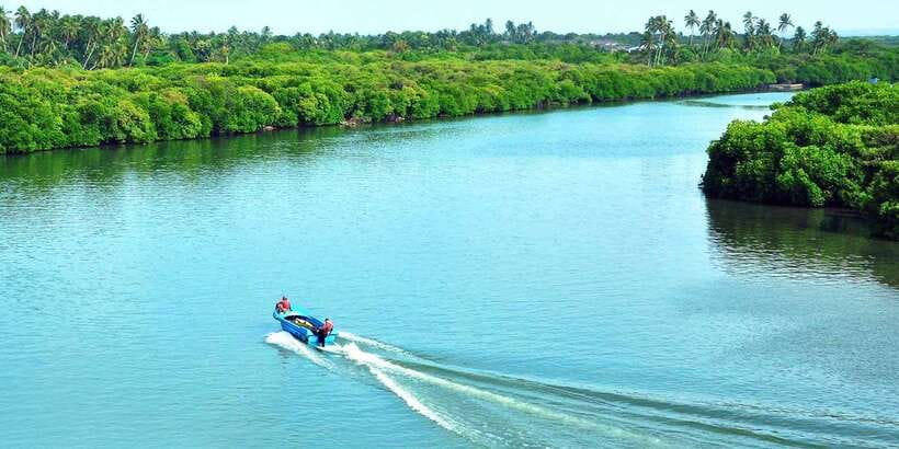 Muthurajawela Bird Watching Tour from Negombo and Colombo - Why Muthurajawela is worth your morning