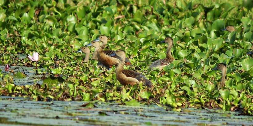 Muthurajawela Bird Watching Tour from Negombo and Colombo - Arriving at the visitor center