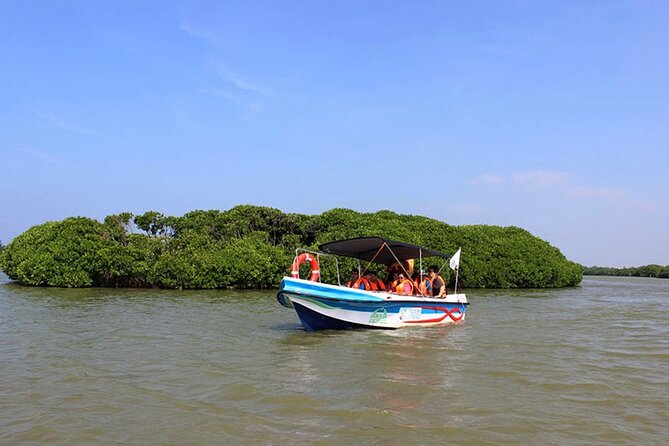 Muthurajawela Bird Watching Tour from Negombo / Colombo - Key things to know before you book