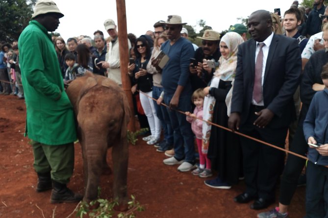 Nairobi park, steamark birds, Girraffe center & bomas - What the $55 price really covers