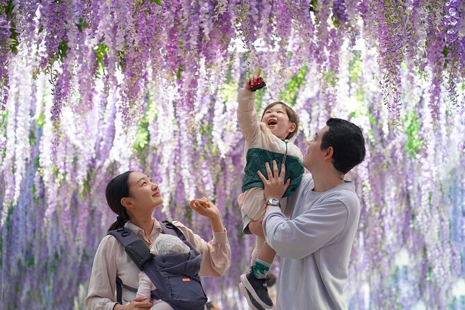 Nami Island and Begonia Bird Park Tour from Seoul (opt Railbike) - Three countryside stops in one long day