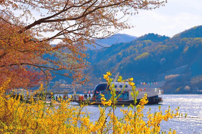 Nami Island and Begonia Bird Park Tour from Seoul (opt Railbike) - Lunch and the practical cost of a full day