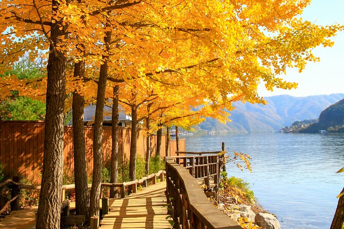 Nami Island and Begonia Bird Park Tour from Seoul (opt Railbike) - Transport, group size, and the day’s rhythm