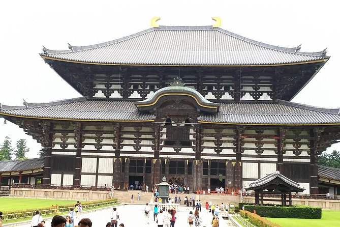 Nara Todaiji Lazy Bird Walking Tour - Why this four-hour Nara walk works
