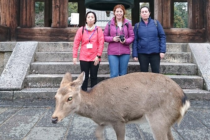 Nara Todaiji Lazy Bird Walking Tour - Guides, pace, and family fit