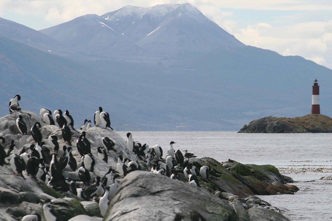 Navigate through the Beagle Channel: Seal, Bird & Penguin Islands - Clothing, timing, and practical comfort