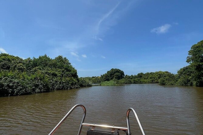 Negombo Lagoon & Muthurjawela Bird Watching Boat Tour - Why this boat trip is different from a standard Negombo outing