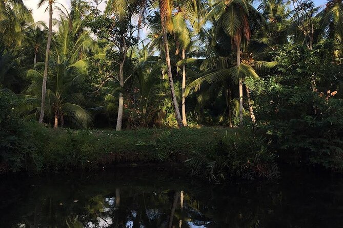 Negombo Lagoon & Muthurjawela Bird Watching Boat Tour - Starting from Negombo Lagoon