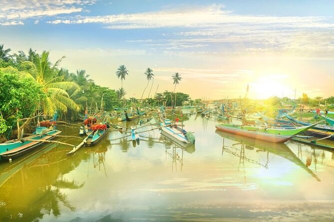 Negombo Lagoon & Muthurjawela Bird Watching Boat Tour - What the $45 price really buys you