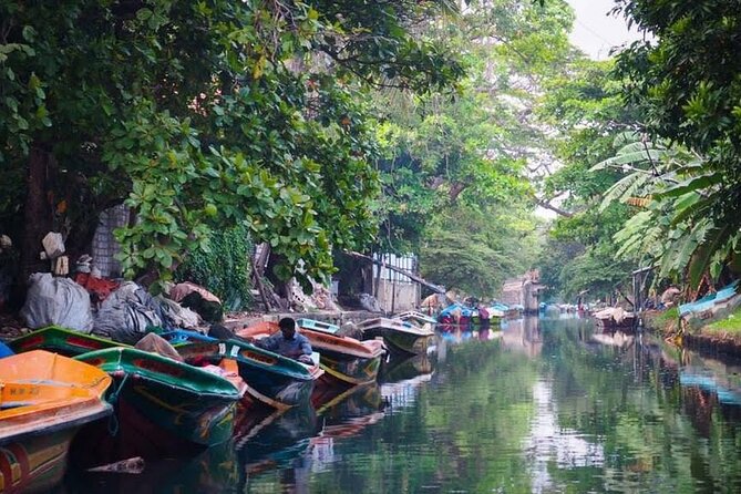 Negombo Lagoon & Muthurjawela Bird Watching Boat Tour - Who should book this experience