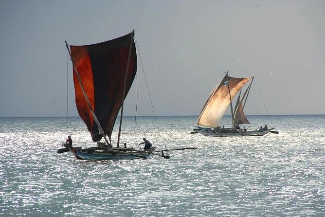 Negombo Lagoon & Muthurjawela Bird Watching Boat Tour - Simple ways to prepare
