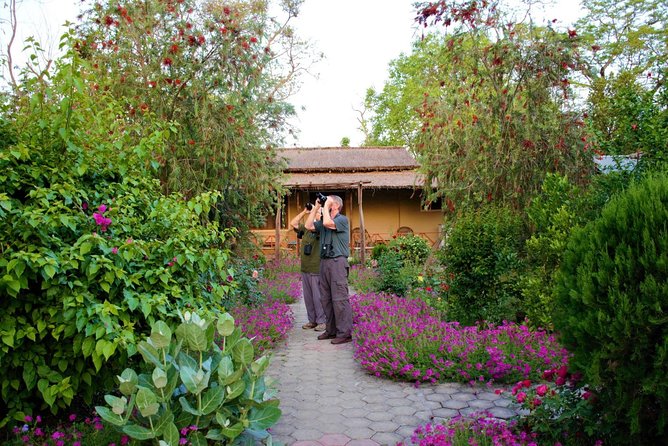 Nepal Birding - A forest escape from Kathmandu
