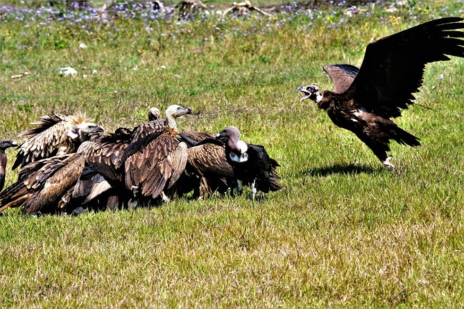 Nepal Birding - The route problem you should settle first