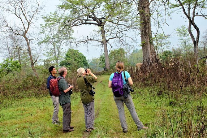 Nepal Birding - Walking, views, and local life