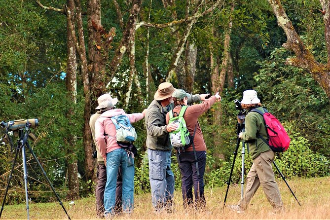Nepal Birding - Who should book this outing?