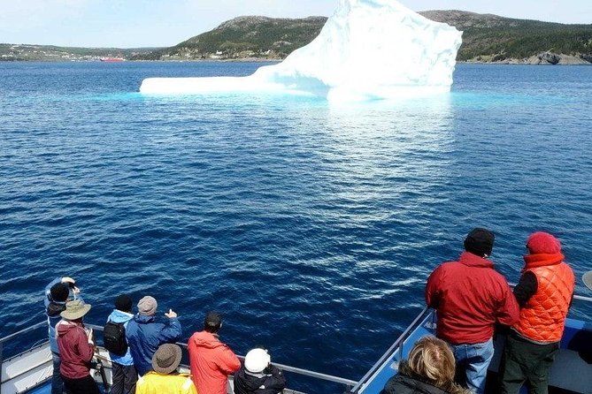 Newfoundland Puffin and Whale Watch Cruise - The Witless Bay Ecological Reserve and Gull Island