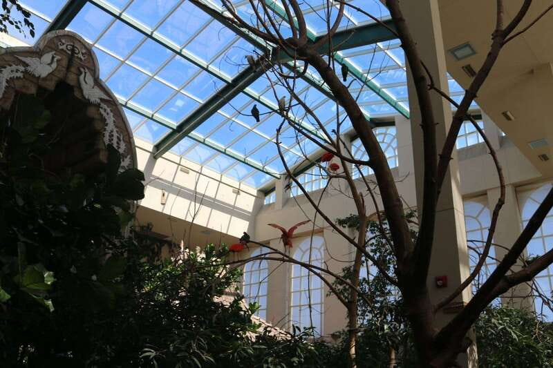 Niagara Falls, Canada: Bird Kingdom Entry Ticket - Inside Niagara’s Free-Flying Rainforest