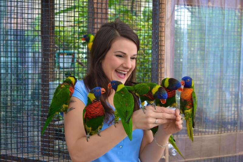 Niagara Falls, Canada: Bird Kingdom Entry Ticket - The Visit Begins with More Than Birds