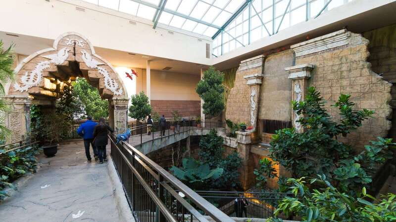 Niagara Falls, Canada: Bird Kingdom Entry Ticket - Is Bird Kingdom Good Value at $18?