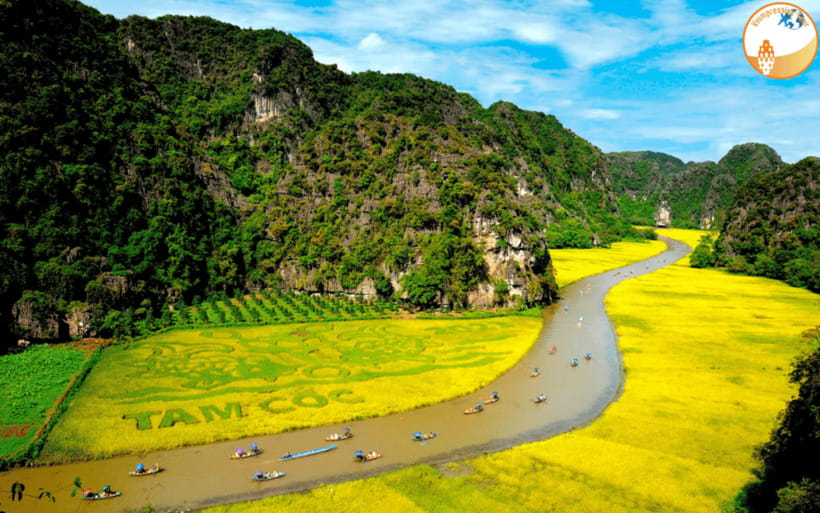 NINH BINH DAY TRIP: HOA LU,MUA CAVES &THUNG NHAM BIRD VALLEY - Flowers or seasonal fruit
