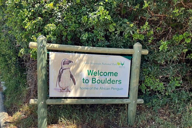One Day Cape of Good and Penguin Colony Expedition from Cape Town - Key points at a glance