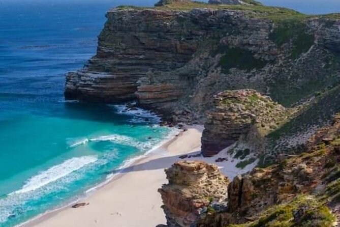 One Day Cape of Good and Penguin Colony Expedition from Cape Town - The ostrich farm adds a short, unusual pause