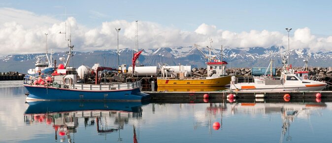 Original Big Whale Safari & Puffins Speedboat Tour from Húsavík - Quick reasons to consider this Húsavík safari
