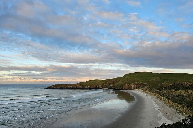 Otago Peninsula In-Depth Tour & Blue Penguins Pukekura Experience - Cold weather, stairs, and the late return