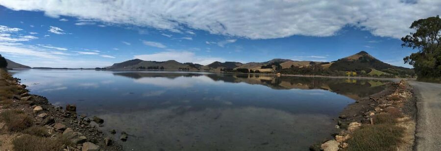 Otago Peninsula Scenery & Little Blue Penguin tour - Hooper’s Inlet is a quiet bird stop